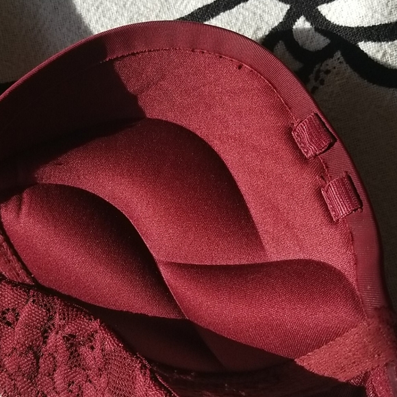 Aerie Push up Lace Bra - Picture 5 of 6